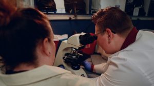 Image of How Long Does It Take to Train to Become a Medical Lab Technician?